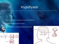 /album/hypofysen/a6-hormonsystemet-006-jpeg1/